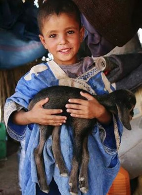 boy with goat
