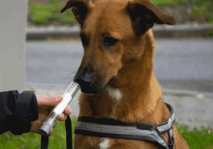 Screen Shot 2015-03-08 at 11.27.53