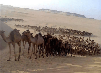 Screen Shot 2015-05-01 at 13.15.26